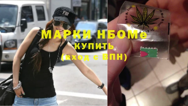 шишки Белоозёрский