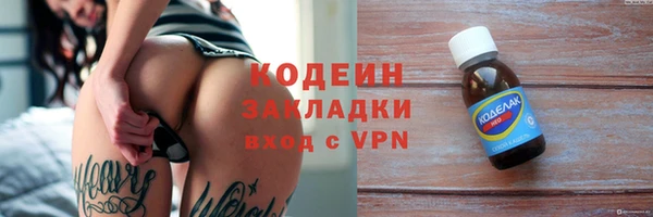 шишки Белоозёрский