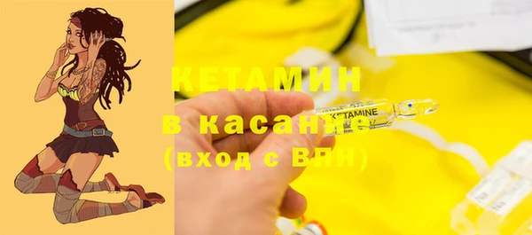 шишки Белоозёрский