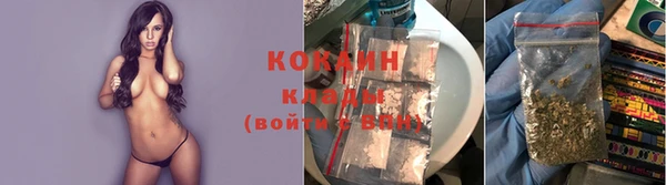 шишки Белоозёрский