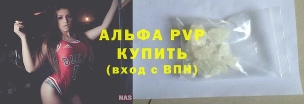 шишки Белоозёрский