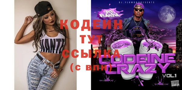 шишки Белоозёрский