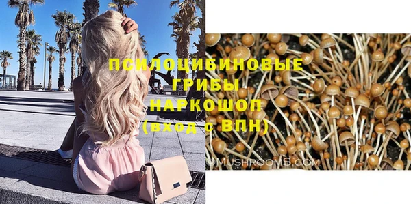 дмт Беломорск