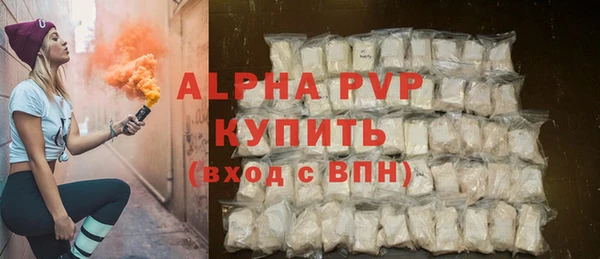 шишки Белоозёрский